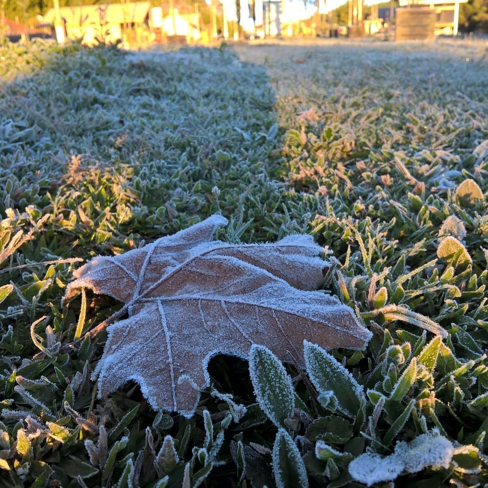 Temporada de Inverno Monte Verde 2018