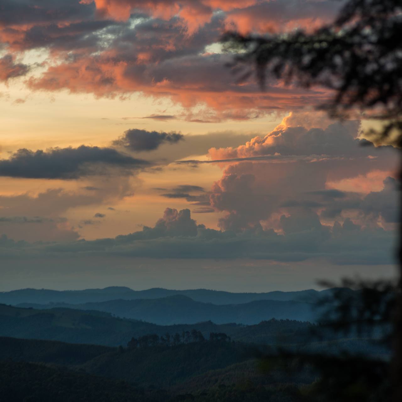 Nossas Ações no Combate ao COVID-19