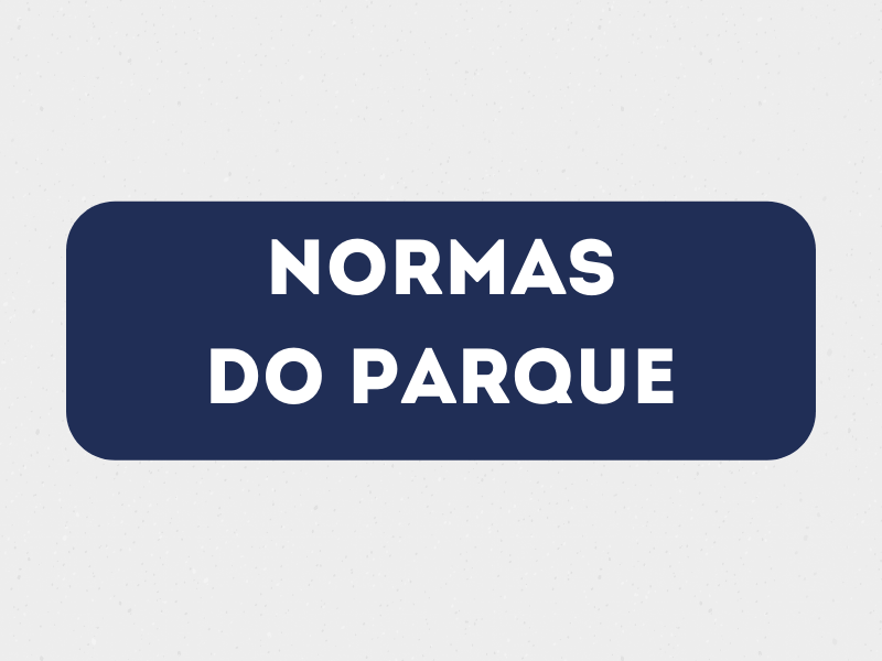 Galeria de imagens