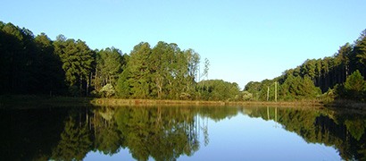 Floresta Nacional de Chapecó