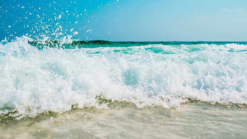 Conheça a Praia dos Ingleses em Florianópolis, a praia do Hotel Geranius