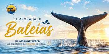 Galeria de imagens
