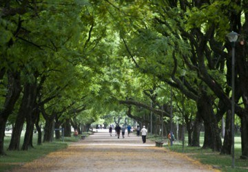 PARQUE MARINHA DO BRASIL