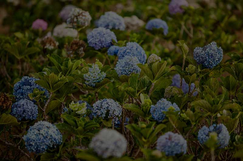 ATRAÇÕES TURISTICAS