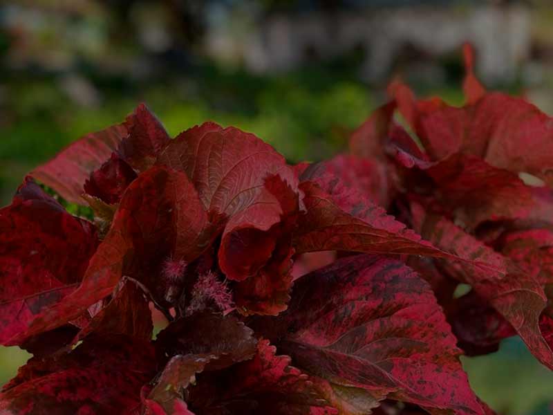 PONTOS DE INTERESSES