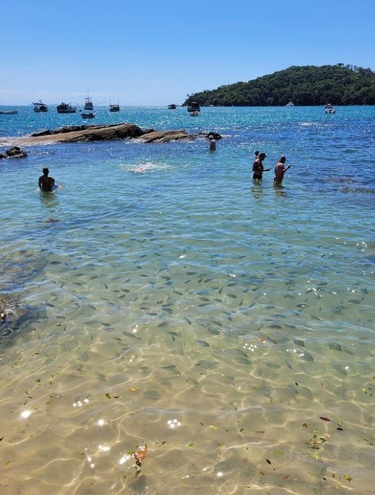 Galeria de imagens