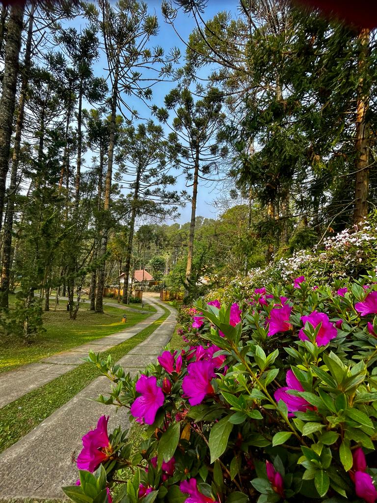 Desconectar e Renovar: O Poder da Natureza para o Descanso