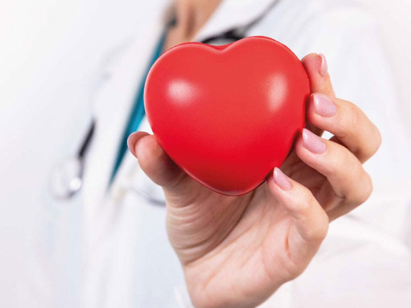 29 de setembro é o Dia Mundial do Coração