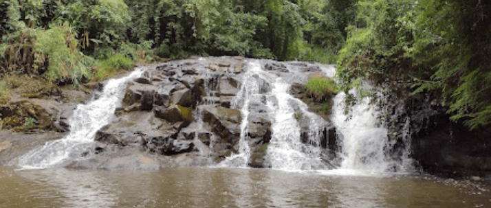 Galeria de imagens