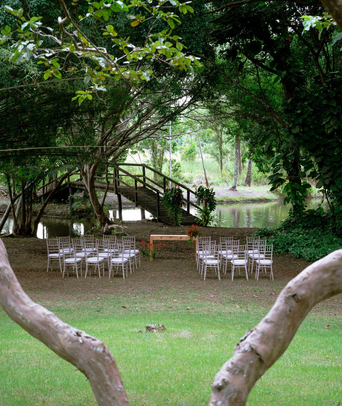 Jardim com árvore frondosa