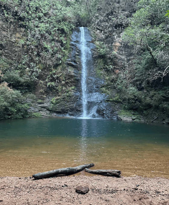 Galeria de imagens