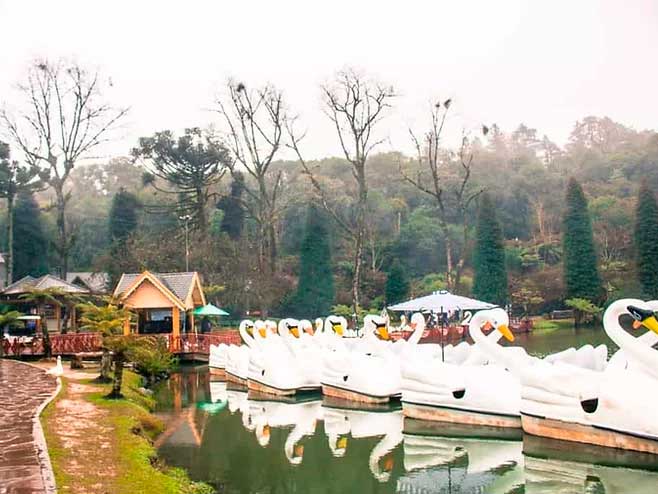 Como economizar em Gramado?