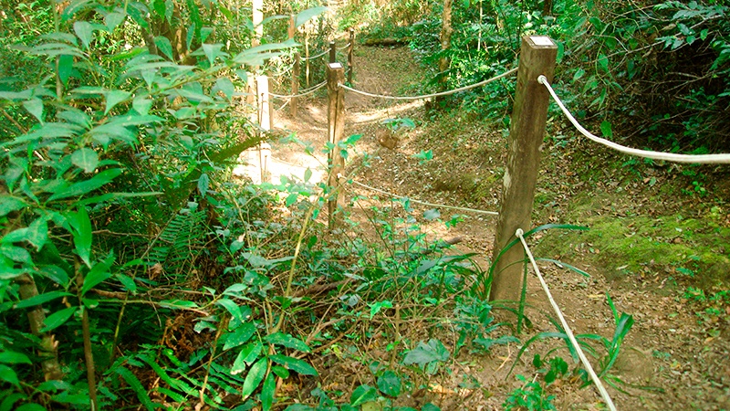 Trilhas e contato com a natureza