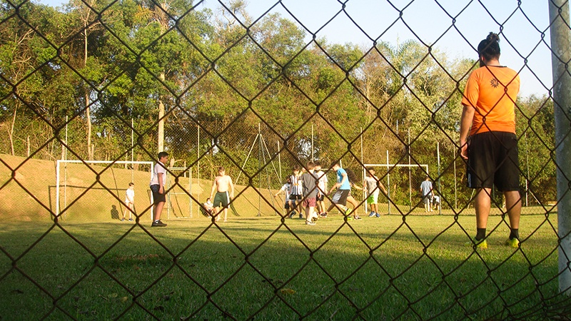 Campo gramado